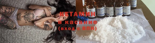 сатива Абинск