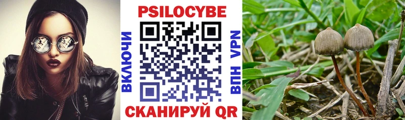 hydra ONION  Благовещенск  Галлюциногенные грибы Psilocybine cubensis 