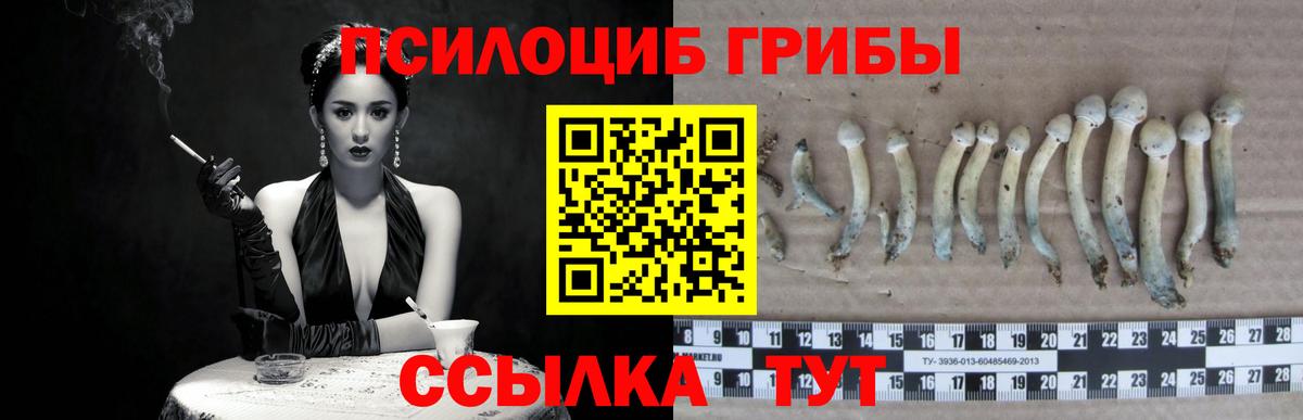 Благовещенск  Псилоцибиновые грибы Psilocybine cubensis  Вход с VPN 
